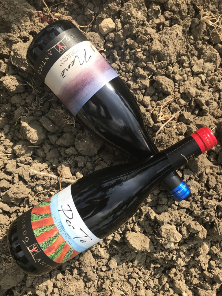 Le Serre Nuove dell'Ornellaia 2020 | Vineyards Magazine